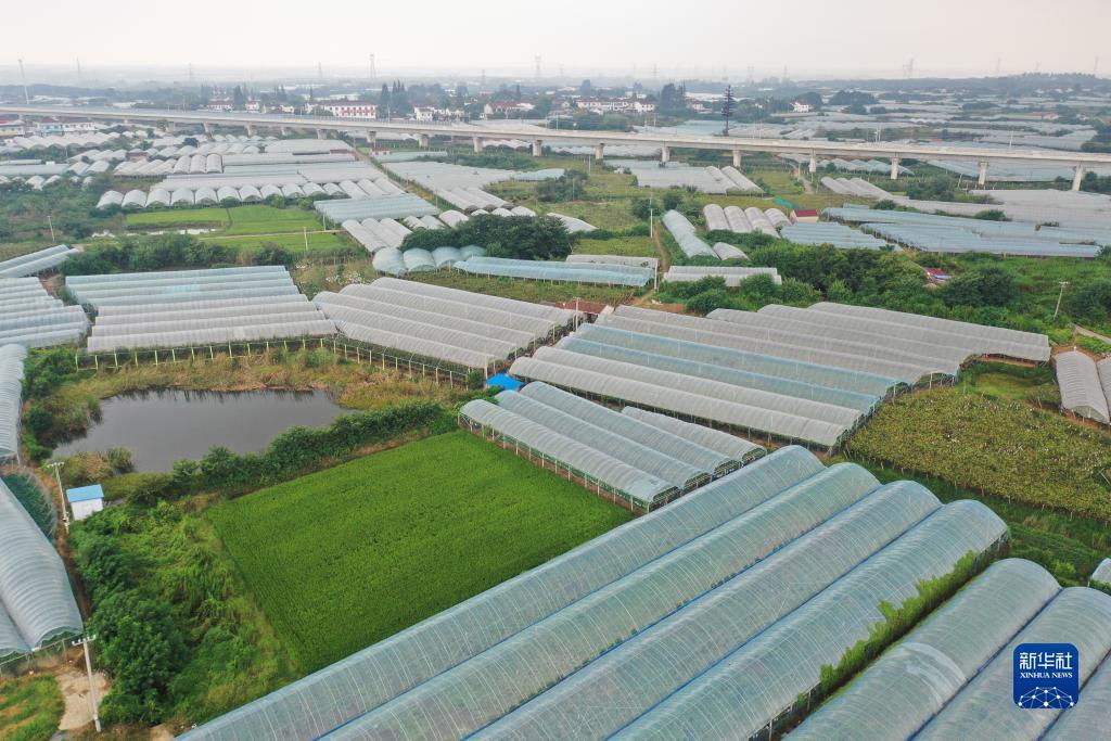 太阳集团网站78118